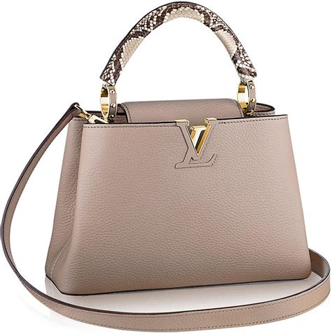 lv cappucine bb|louis vuitton capucines bag price.